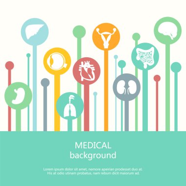 Tıbbi geçmişi kavramı. İnsan anatomisi.