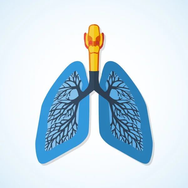 Ícones de design plano da anatomia humana . — Vetor de Stock