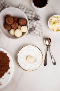 Ev yapımı Hint usulü vejetaryen tatlıları. Hindistan cevizi ve kakao topları ve hindistan cevizi talaşı.