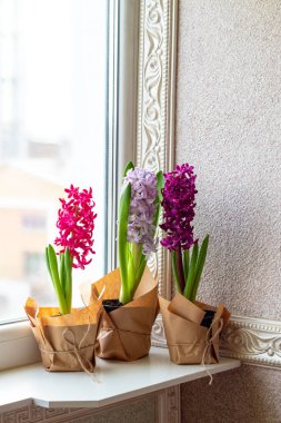Pencerenin yanında leylak ve pembe sümbüllerle süslenmiş çiçek kompozisyonu. 8 Mart, Paskalya, Anneler Günü