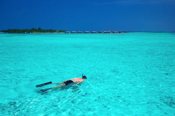 Snorkel hombre en isla tropical — Foto de Stock