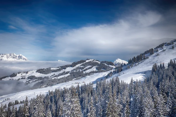 Árboles cubiertos de nieve en Austria Alpes — Foto de Stock