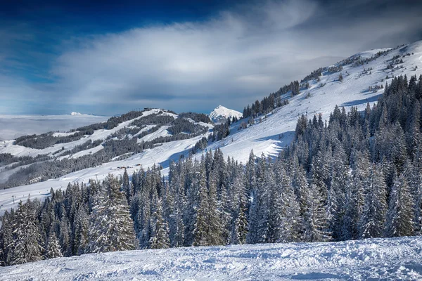 Bäume in den österreichischen Alpen vom Schnee bedeckt — Stockfoto