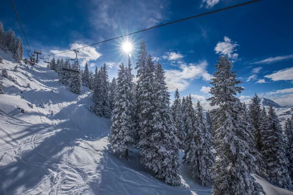 Trees covered by snow in Alpine mountains — Stock Photo, Image