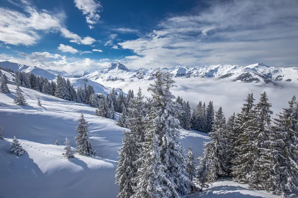 Hatálya alá tartozó alpesi hegyek snow fák — Stock Fotó