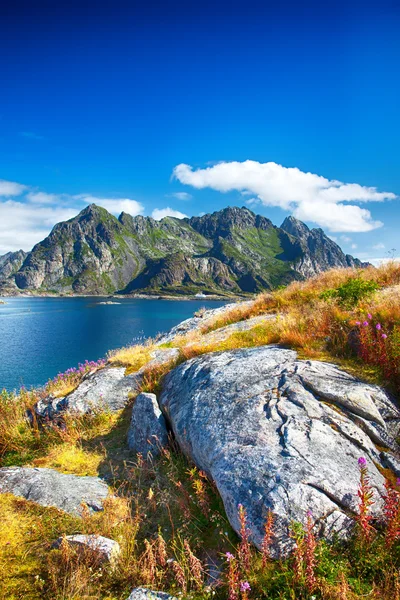 Henningsvaer Norveç dağlarında için görüntüleyin — Stok fotoğraf