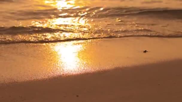 Mar Ondas sobre Areia Praia HD — Vídeo de Stock