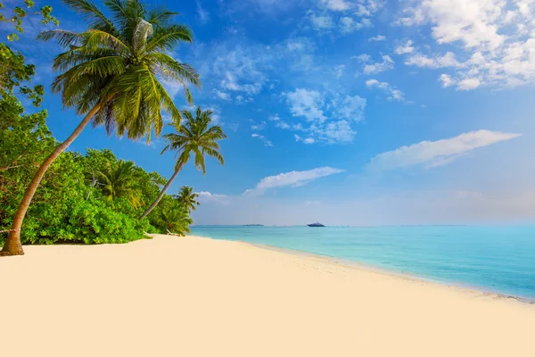 Isola tropicale con spiaggia sabbiosa — Foto Stock