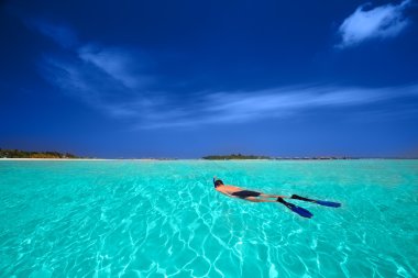 adam snorkling içinde tropikal lagoon
