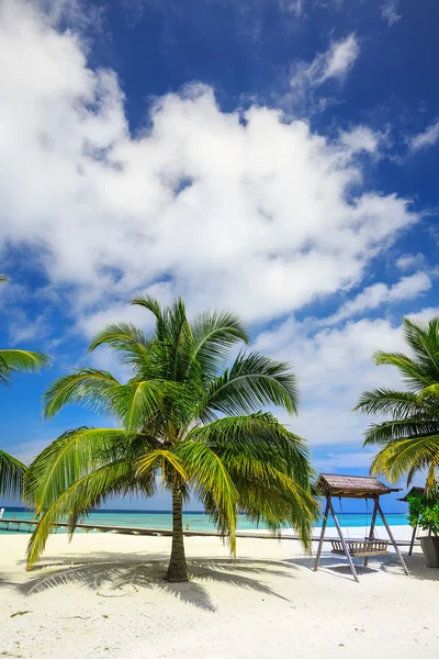 Houten hangmat en palmen — Stockfoto