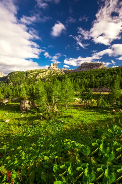 Dolomites dağlara Pordoi pası görüntülemek — Stok fotoğraf