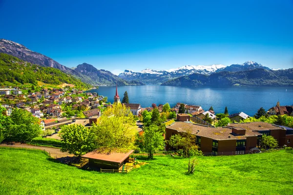 Panorama över byn Weggis och Vierwaldstättersjön — Stockfoto