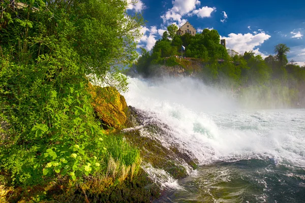 Tilik ke Rhine Falls — Stok Foto