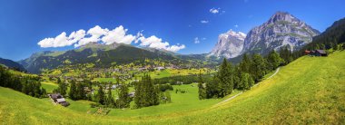 ünlü Grindelwald Vadisi