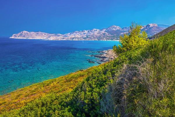 Corsica adada Licciola — Stok fotoğraf
