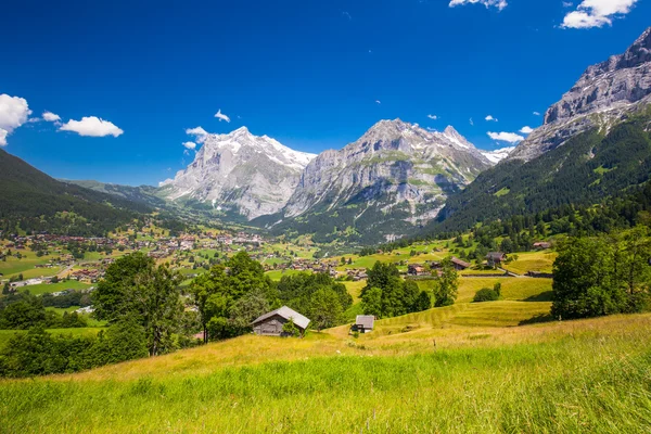 Famoso vale de Grindelwald — Fotografia de Stock