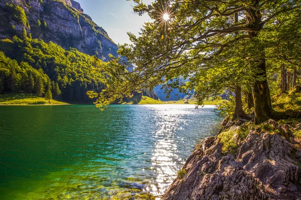 Seealpsee con Alpi svizzere — Foto Stock