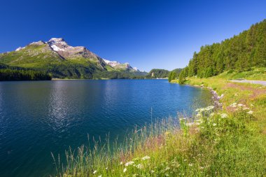 Sankt Moritz yakınlarındaki Engadin vadisinin görünümü