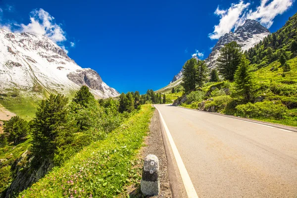 Sankt Moritz yakınlarındaki Albula geçidi yolu — Stok fotoğraf