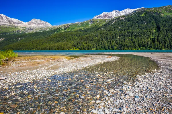 Lago di Silvaplana nella valle dell'Engadina — Foto Stock