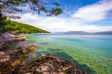Hırvatistan, Istria, Avrupa'nın çam ağaçlı plaj sahne