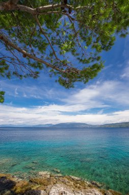 Hırvatistan, Istria, Avrupa'nın çam ağaçlı plaj sahne
