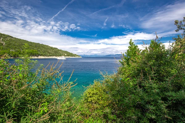 Paesaggio balneare con pino in Croazia, Istria, Europa — Foto Stock