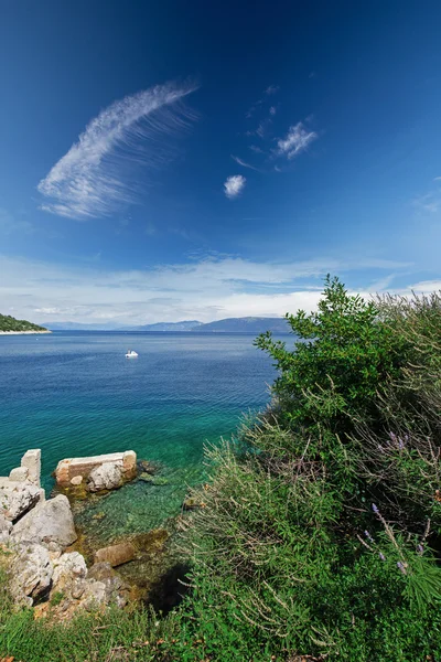 Paisaje de playa con pino en Croacia, Istria, Europa — Foto de Stock