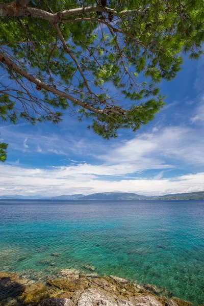 Hırvatistan, Istria, Avrupa'nın çam ağaçlı plaj sahne — Stok fotoğraf