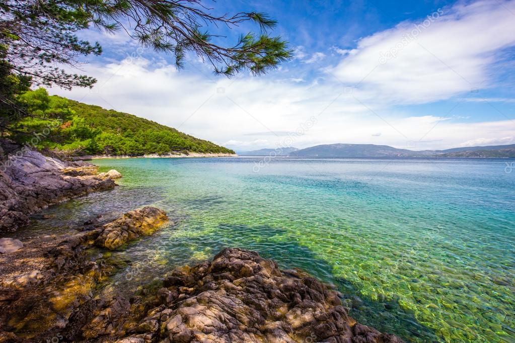 Beach scenery with pine tree in Croatia, Istria, Europe