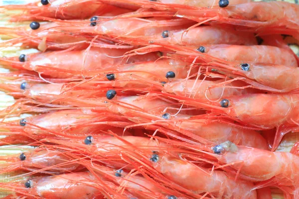 Alaskan pink shrimp (Pandalus eous) — Stock Photo, Image