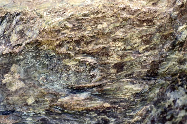 Piedra serpentinita aislada — Foto de Stock