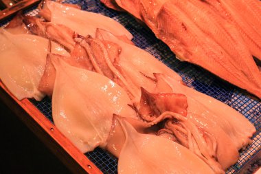 hafifçe kurumuş mürekkep balığı ya da Japonya'da gecede kurutulmuş kalamar