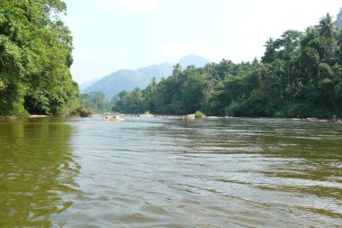 Sinharaja orman rezerv Sri Lanka