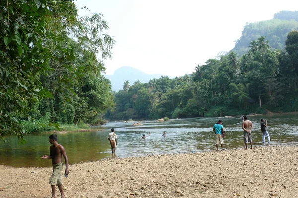 Riserva forestale del Sinharaja nello Sri Lanka — Foto Stock