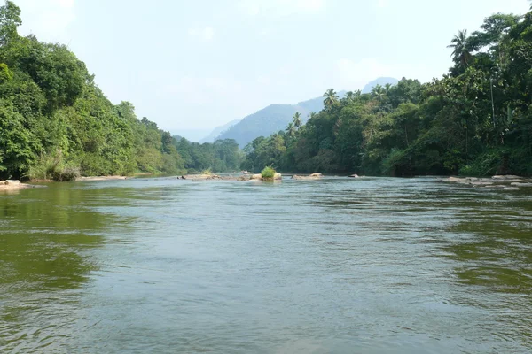 Riserva forestale del Sinharaja nello Sri Lanka — Foto Stock