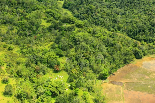 Rice filed and mountain of Borneo (Aerial Shoot) — Stock Photo, Image