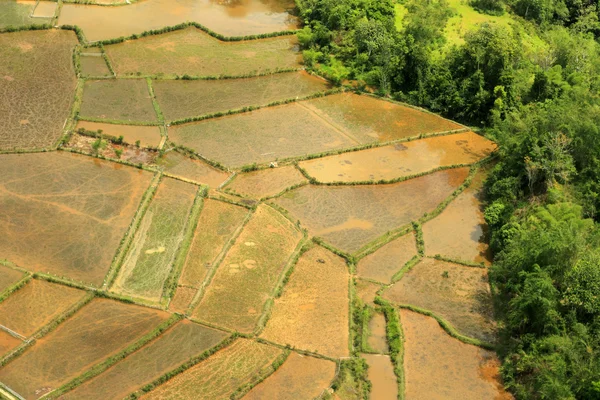 Arroz archivado y montaña de Borneo (Aerial Shoot ) — Foto de Stock