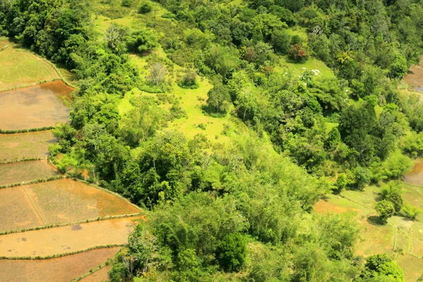 稻田和山的婆罗洲 (空中射击) — 图库照片