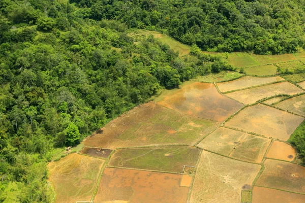 Rice filed and mountain of Borneo (Aerial Shoot) — Stock Photo, Image