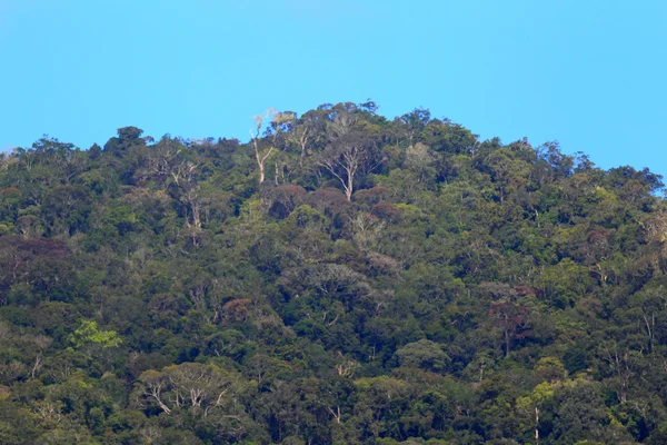 Berg av Borneo (i antenn skjuta) — Stockfoto