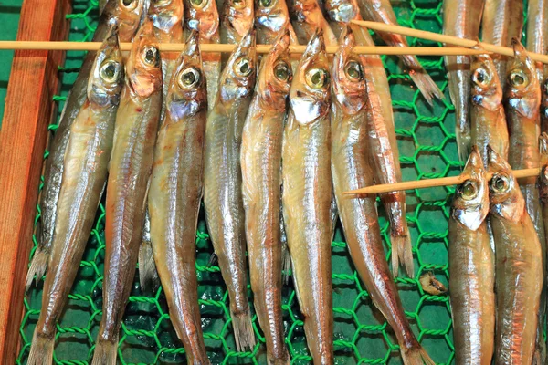 柳树叶鱼或 Shishamo (软罐头龙胆) 在日本 — 图库照片