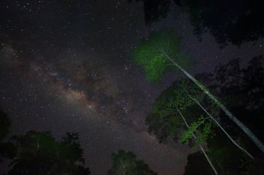 Güzel Samanyolu Borneo, Malezya