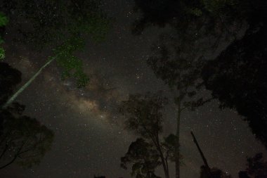 Güzel Samanyolu Borneo, Malezya