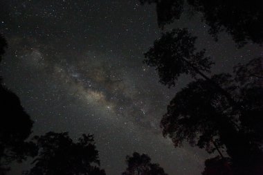 Güzel Samanyolu Borneo, Malezya