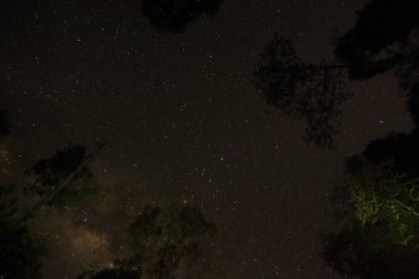Güzel Samanyolu Borneo, Malezya