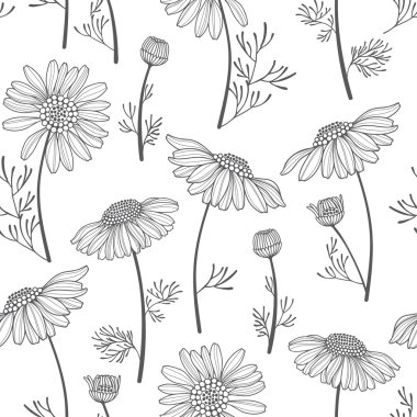 Chamomiles ile çizilmiş desen