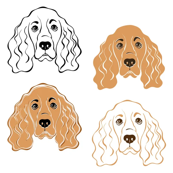 Cocker Spaniel hond gezicht — Stockvector