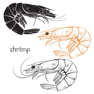 Shrimps isolated elements clipart