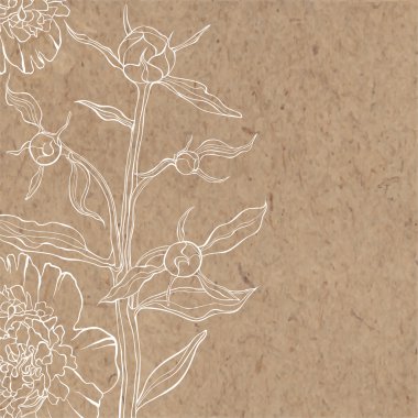 Şakayık kraft kağıt üzerinde.